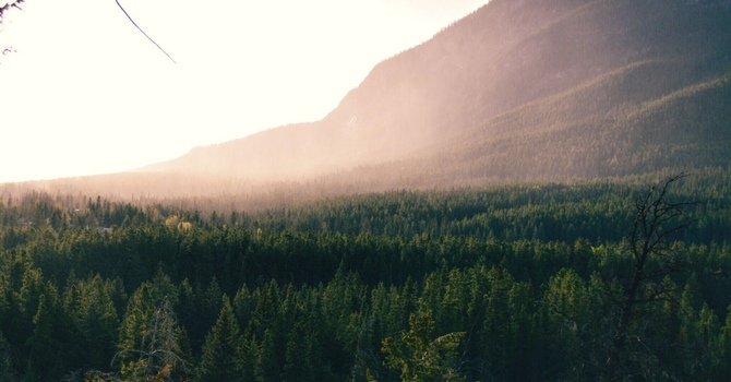 Custom Foot Orthotics